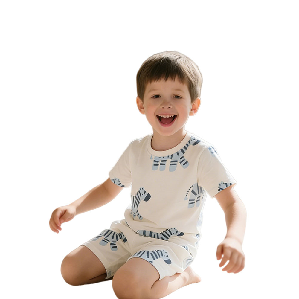 Baby Zebra Clothing - 2026 New Arrival 3-8T Zebra Boys